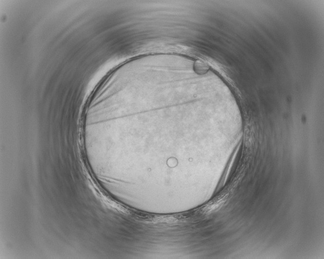 X0000053081094200508081239