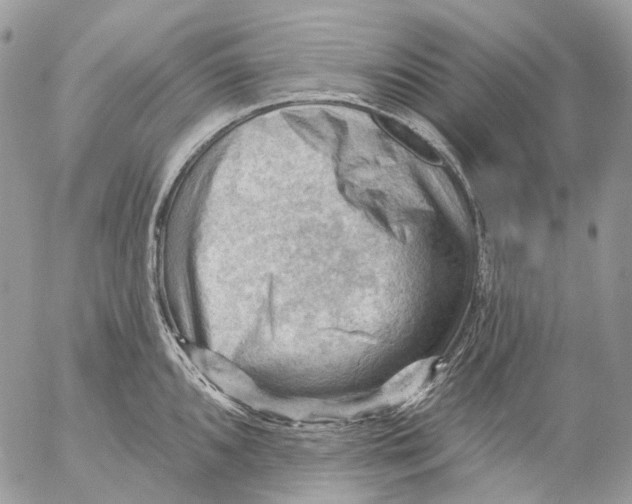 X0000053081096200508081239