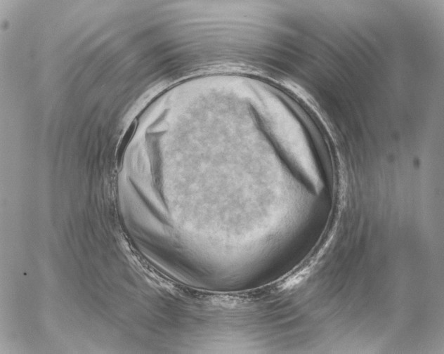 X0000053081097200508081239