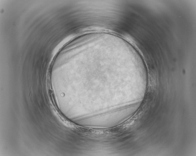 X0000053081098200508081239