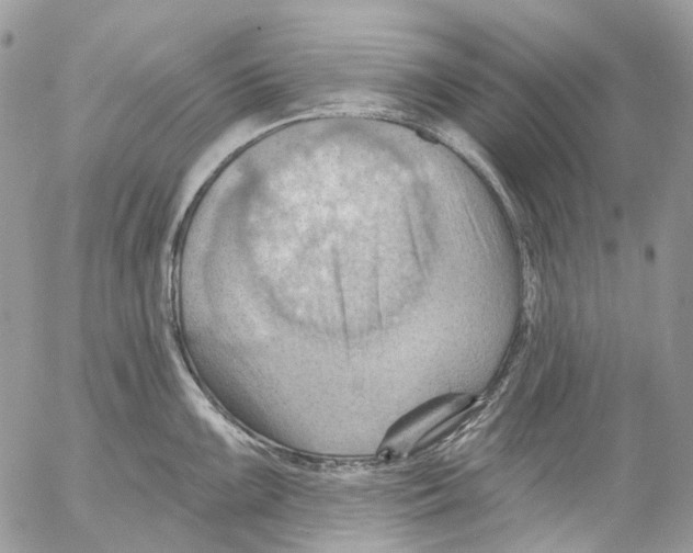 X0000053081099200508081239