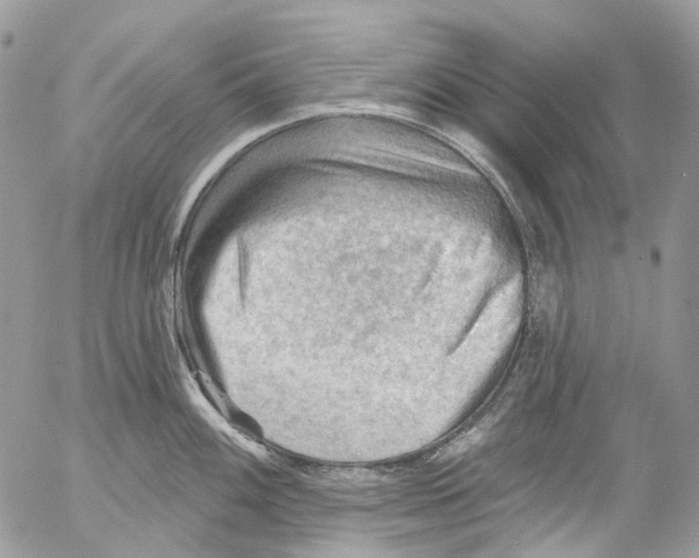 X0000053081100200508081239