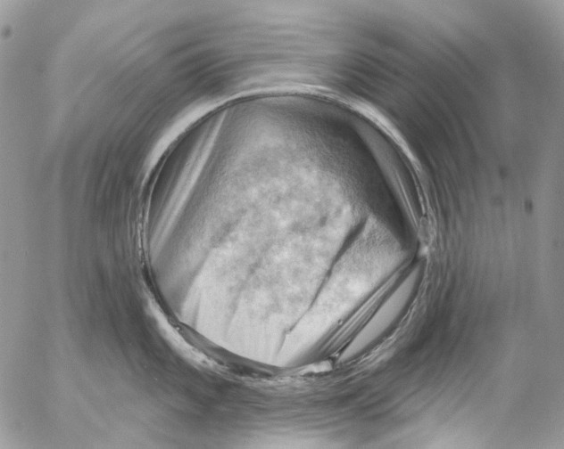 X0000053081101200508081239