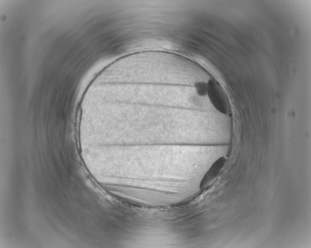 X0000053081104200508081239