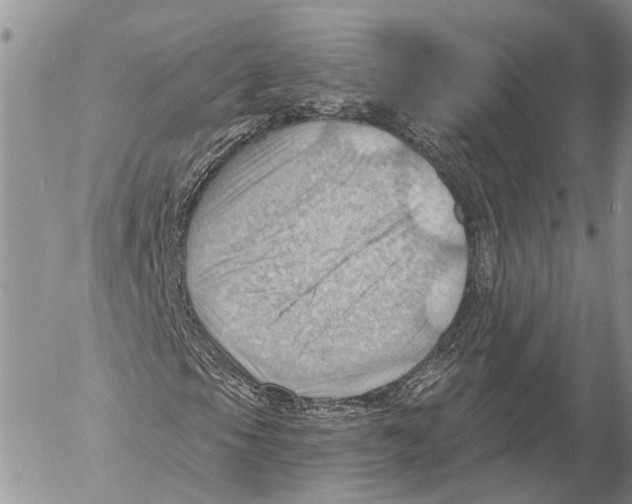 X0000053081105200508081238