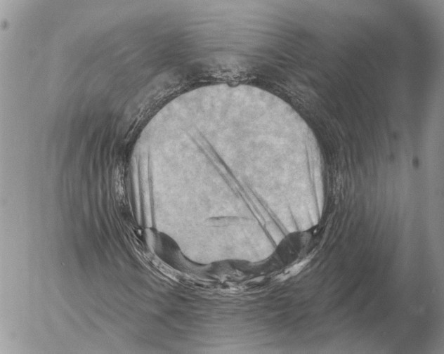 X0000053081106200508081238