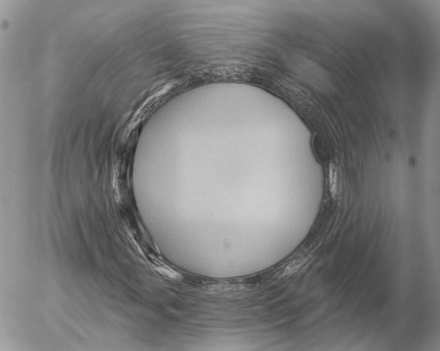 X0000053081107200508081238