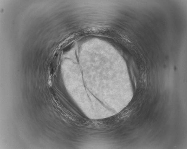 X0000053081109200508081238