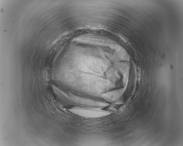 X0000053081110200508081238