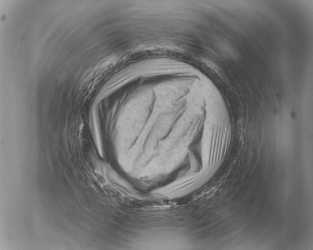 X0000053081111200508081238