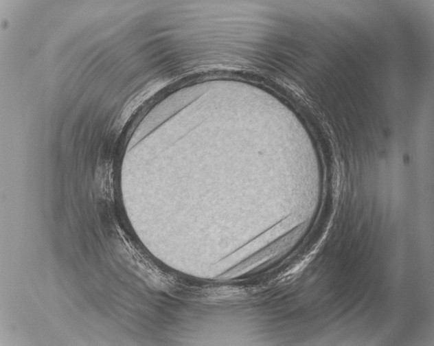 X0000053081113200508081238