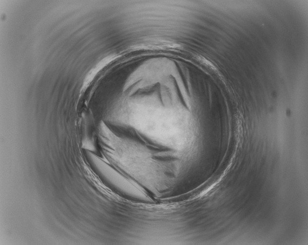 X0000053081114200508081238