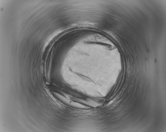 X0000053081115200508081238