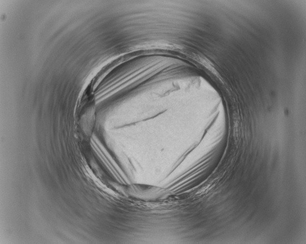 X0000053081116200508081238