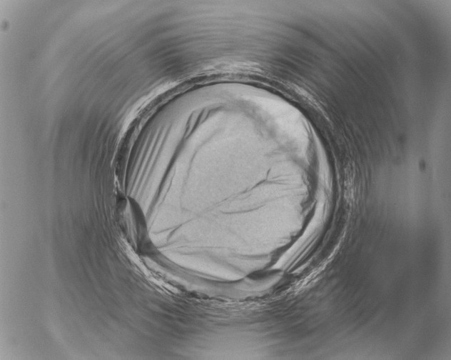 X0000053081117200508081238