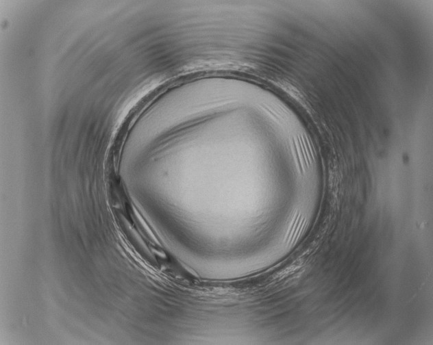 X0000053081119200508081238