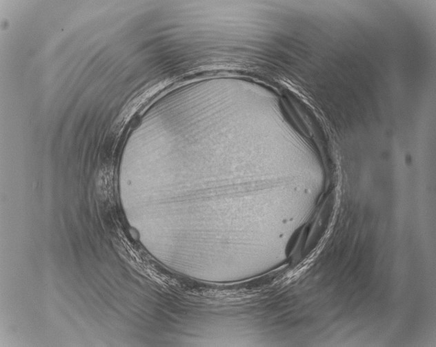 X0000053081121200508081238