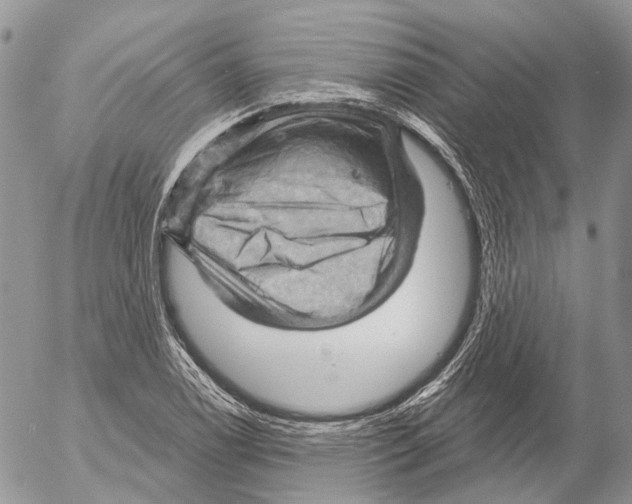 X0000053081122200508081238