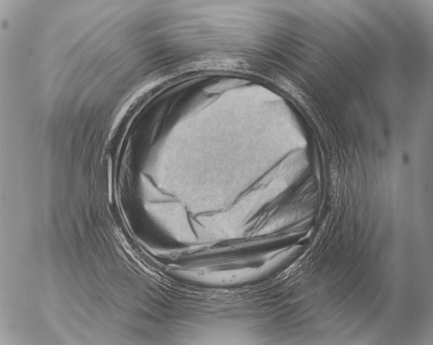 X0000053081123200508081238