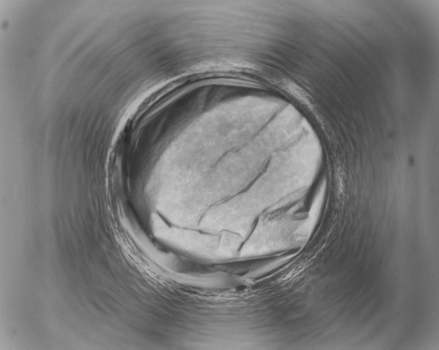 X0000053081124200508081238