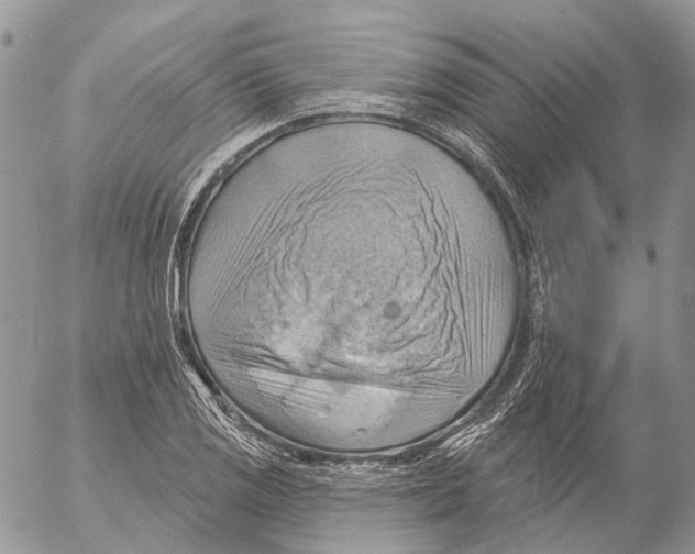 X0000053081125200508081238