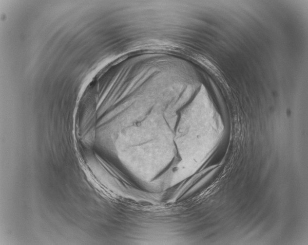 X0000053081128200508081238