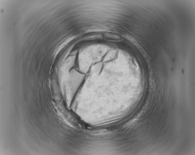 X0000053081129200508081238