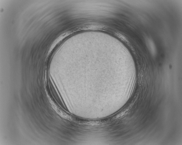 X0000053081130200508081238