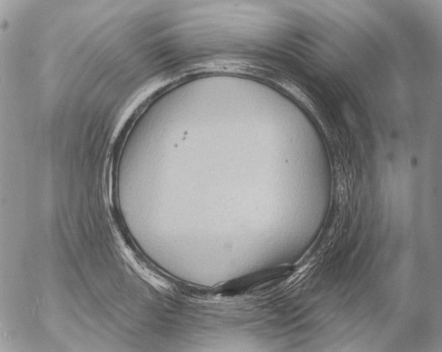 X0000053081131200508081238