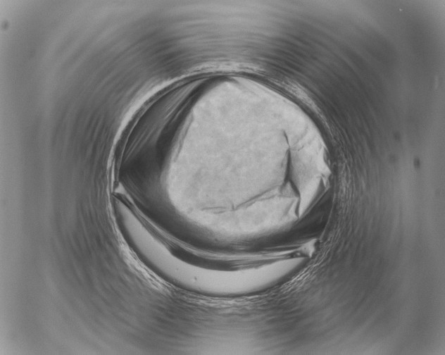 X0000053081132200508081238