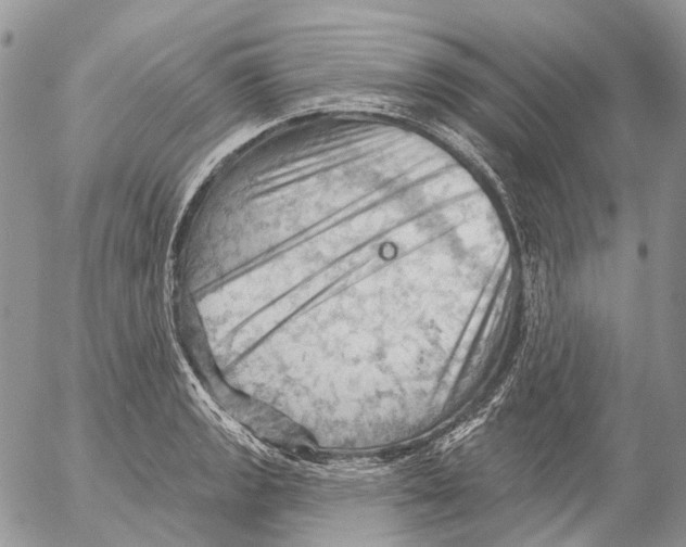 X0000053081133200508081238