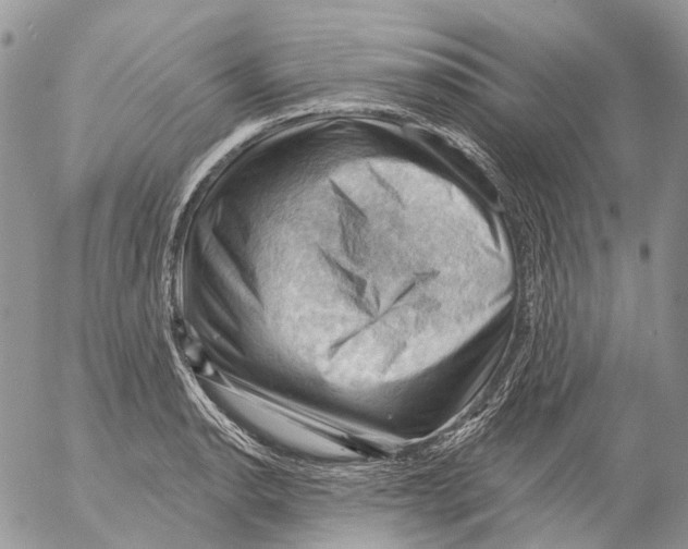 X0000053081134200508081238