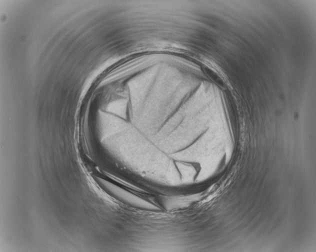 X0000053081136200508081238