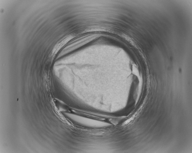 X0000053081137200508081238