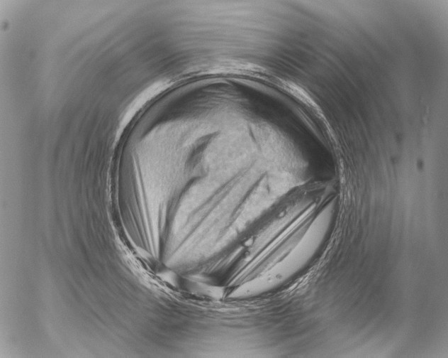 X0000053081138200508081238