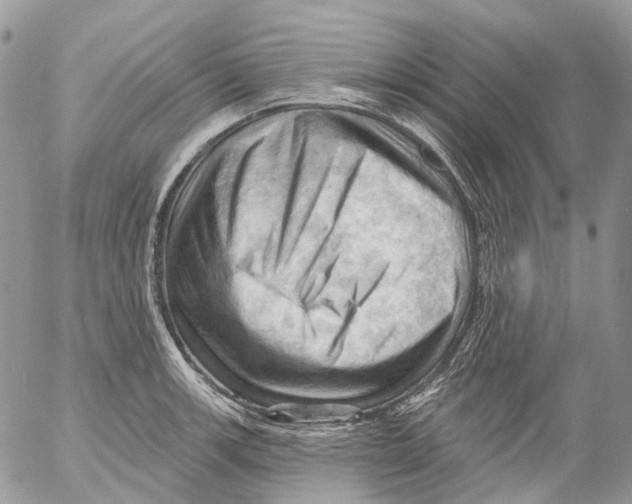 X0000053081139200508081238