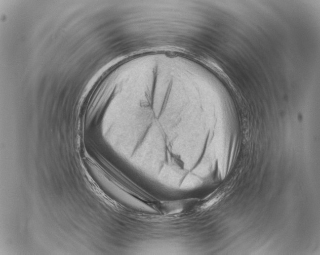 X0000053081140200508081239