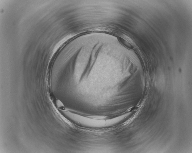 X0000053081141200508081239