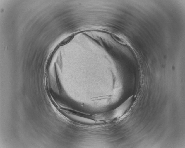 X0000053081143200508081239