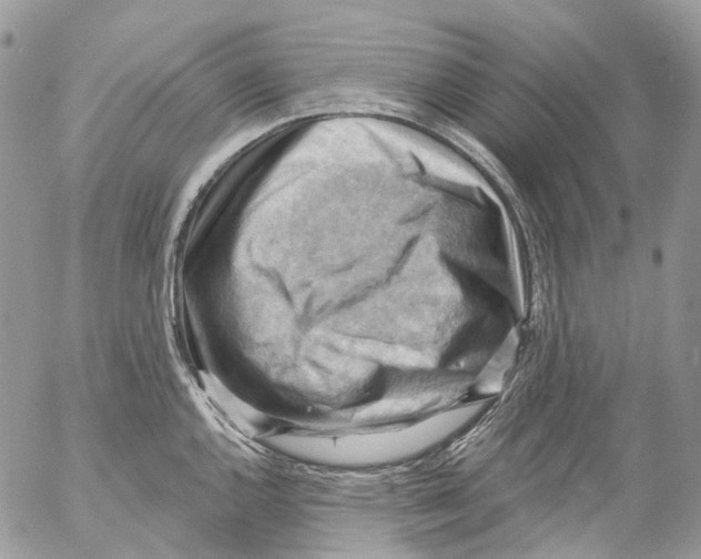 X0000053081144200508081239