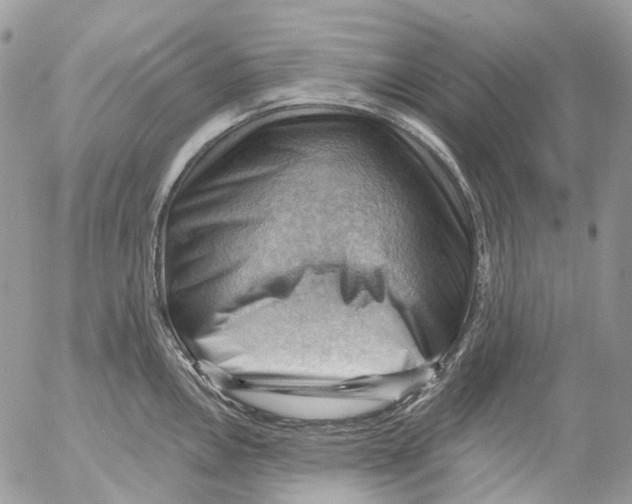 X0000053081146200508081239