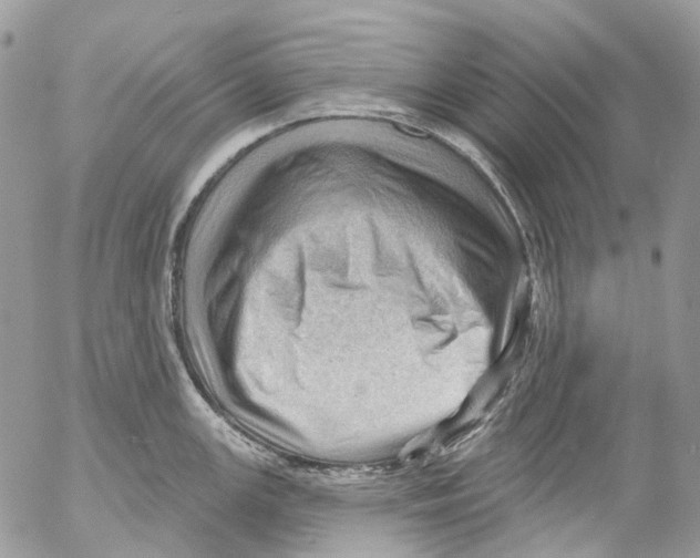 X0000053081147200508081239