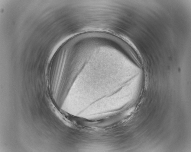 X0000053081148200508081239