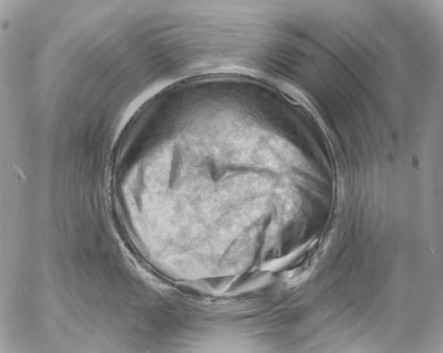 X0000053081149200508081239