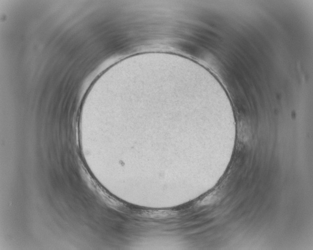 X0000053081150200508081239