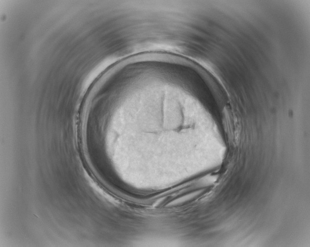 X0000053081151200508081239