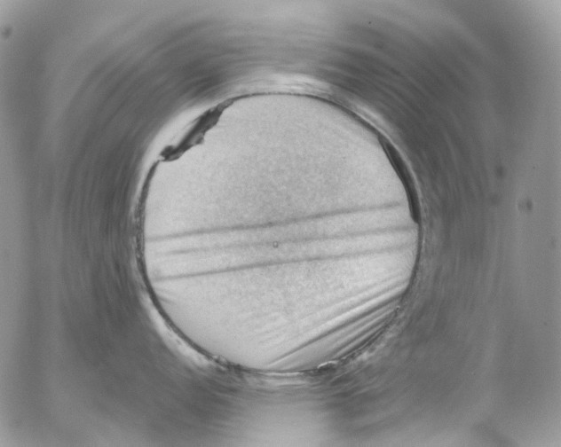 X0000053081152200508081239