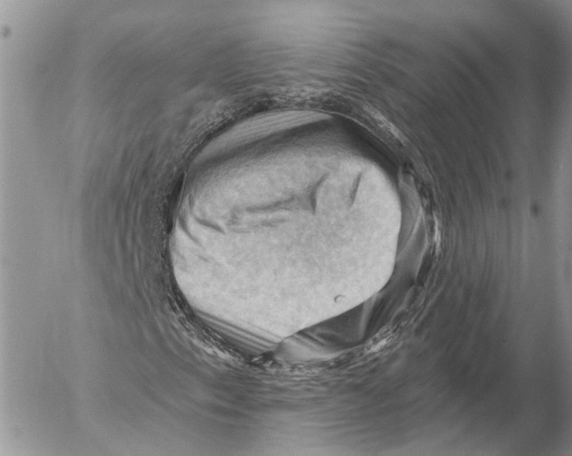 X0000053081153200508081238