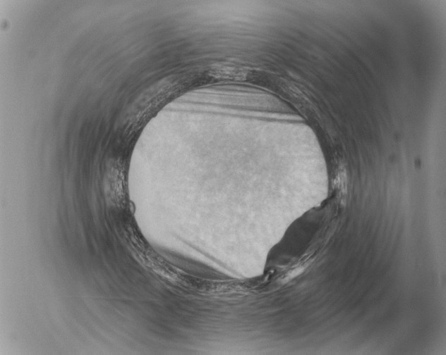 X0000053081154200508081238