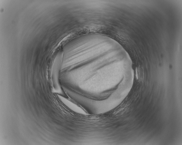 X0000053081155200508081238